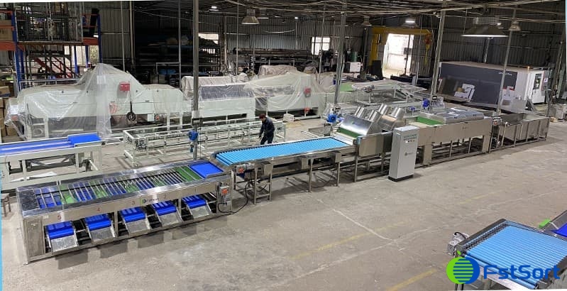 images/1656057045368sweet potato washing line.jpg